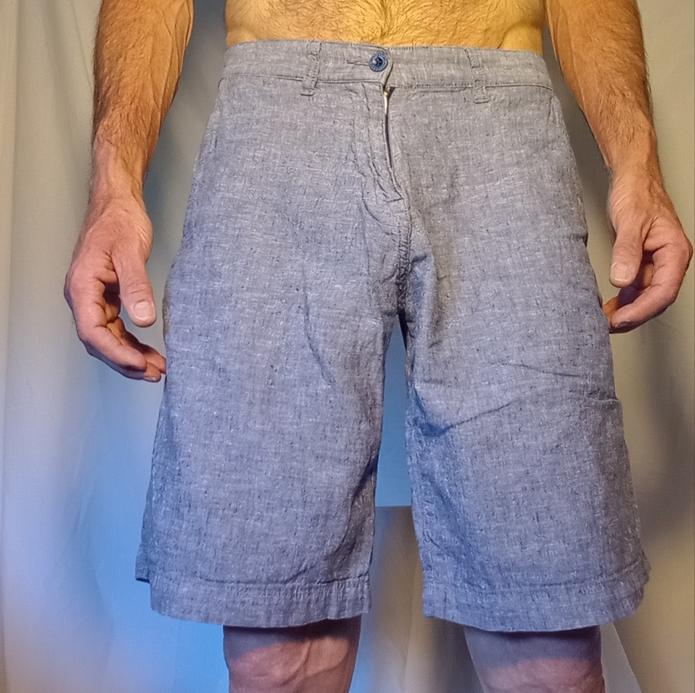Men's Patagonia Hemp Organic Cotton  shorts size 30 blue